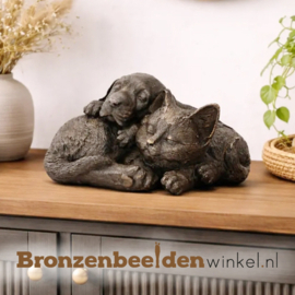 Bronzen hond en kat beeld BBW1472br