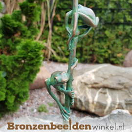 Bronzen kikkers op rietstengel BBW37284