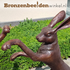 Beeld "De Dansende Hazen" BBW94571