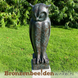 Bronzen uil beeld BBW94533br