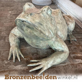 Reuzenkikker beeld Rutger BBW75100