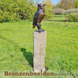 Beeld ransuil van brons BBW1427br