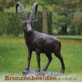 Groot beeld steenbok brons BBW1276