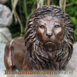 Bronzen leeuw beeld BBW0600
