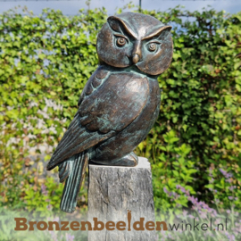 Bronzen uilenbeeldje BBWR89067