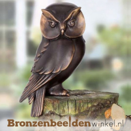 Bronzen uil beeld BBW37234