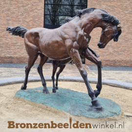 Beeld paard met veulen BBW1000