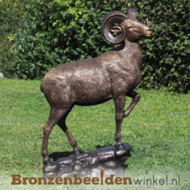 Groot beeld ram met hoorns BBW1295