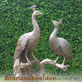 Tuinbeeld pauwen in brons BBW1116