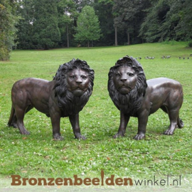 Tuinbeeld bronzen leeuwen beelden BBW1048