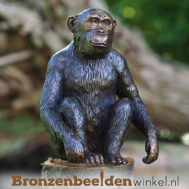 Beeld Chimpansee aap BBW1331