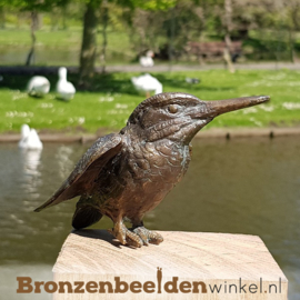 Ijsvogel cadeau van brons BBW88367