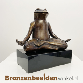 Mediterende kikker beeld BBW6524BR