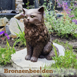 Bronzen Perzische kat beeld BBW1459