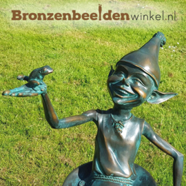 Pixie beeld elf met kikker BBW1335