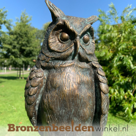 NR 9 | Cadeau man 62 jaar ''Uil brons'' BBWR88319