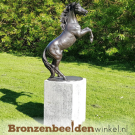 Tuinbeeld steigerend paard BBW1096br