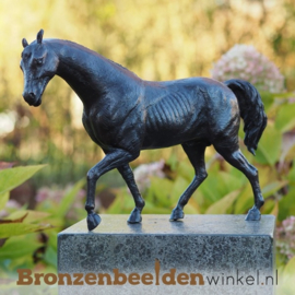 Paardenbeeldje brons BBW1172br