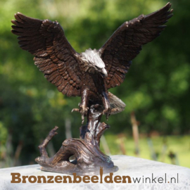 toevoegen Overeenstemming Uil ᐅ Adelaar beeld kopen van brons | Bronzen tuinbeeld adelaar