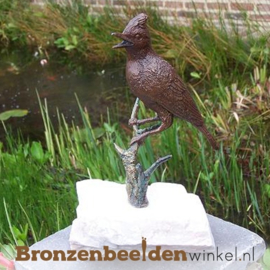 Bronzen vogel BBW0401br