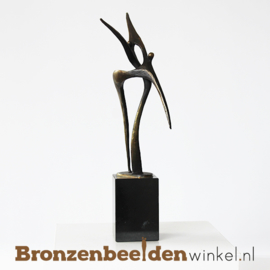 NR 6 | 23 jaar getrouwd cadeau "Verstrengeling" BBW004br62