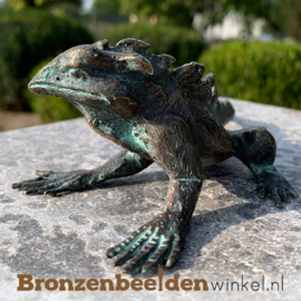 Bronzen leguaan beeldje BBWR90326