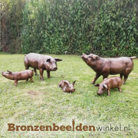 Varken, zeug en drie biggetjes BBW61083