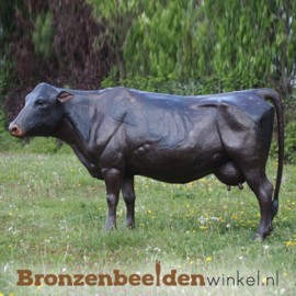 Tuinbeeld koe levensgroot BBW47382