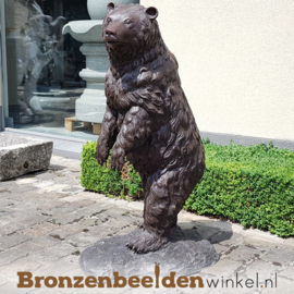 Grizzly beer beeld BBW59267