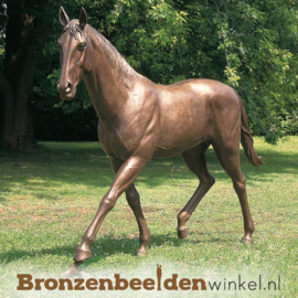 BRONZEN PAARD BEELD OP MAAT