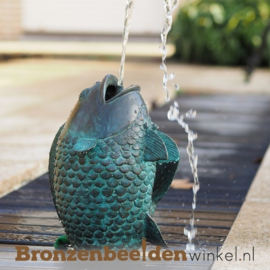 Sterrenbeeld cadeau ''Vis als fontein'' BBW1141BR