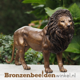 Sterrenbeeld cadeau ''Bronzen leeuw'' BBW0600