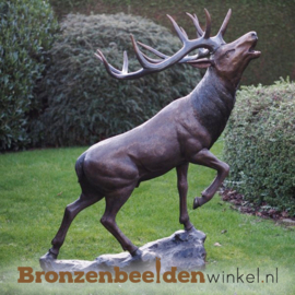 Bronzen hert op rots BBW1469