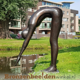 Vijver beeld "De Duiker" BBW1349br