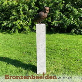 NR 7 | Cadeau man 69 jaar ''Bronzen uil'' BBW2213