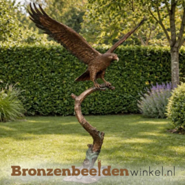 Tuinbeeld vliegende adelaar in brons BBW1555br