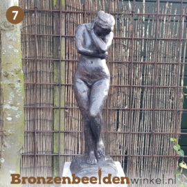 NR 7 | 65 jaar verjaardagscadeau ''Naakte vrouw van Rodin'' BBW55912