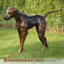 Bronzen beeld bloedhond BBW635