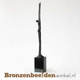 Sculptuur "Vooruitgang" BBW004br57