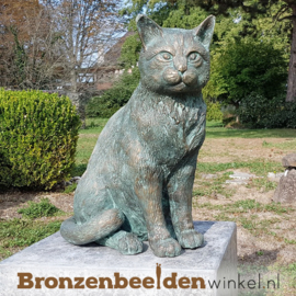 Groot kattenbeeld in brons  BBWR89018