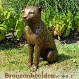 Bronzen luipaard zittend BBW1138