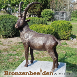 Sterrenbeeld cadeau "Steenbok" BBWR88584