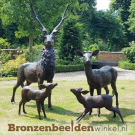 Tuinbeeld herten familie in brons BBW47234F