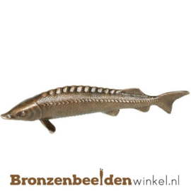 Sterrenbeeld cadeau ''Snoek vis van brons'' BBWP4368