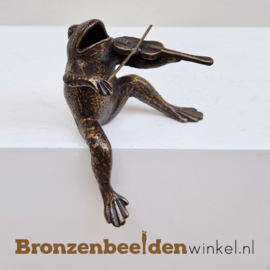 Beeldje viool spelende kikker BBW756473
