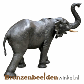 Bronzen beeld olifant BBW1560br