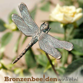 Bronzen insecten