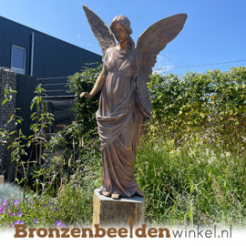 Engel beeld voor in de tuin BBW94530