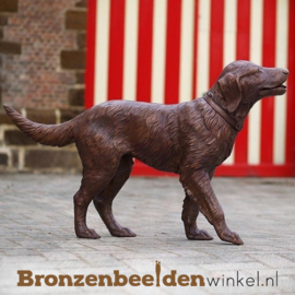 Hond beeld labrador BBW726