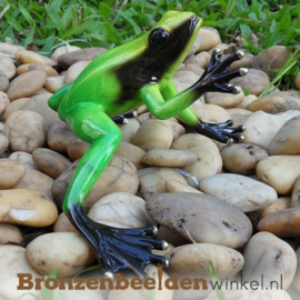 Bronzen groene regenwoudkikker beeld BBW0985BR